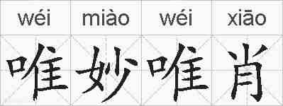 唯妙唯肖的拼音