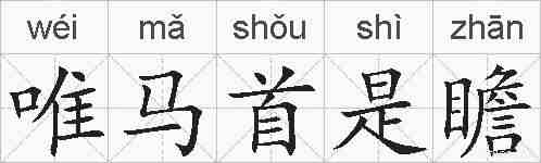 唯马首是瞻的拼音