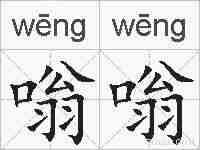 嗡嗡的拼音
