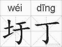圩丁的拼音