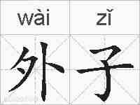 外子的拼音