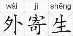 外寄生的拼音