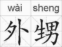 外甥的拼音