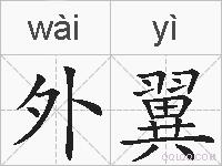 外翼的拼音