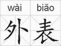 外表的拼音