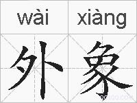 外象的拼音