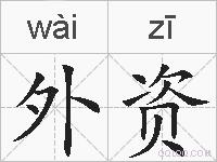 外资的拼音