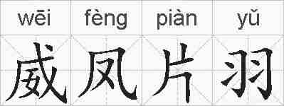 威凤片羽的拼音
