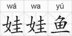 娃娃鱼的拼音