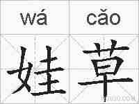 娃草的拼音