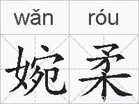 婉柔的拼音