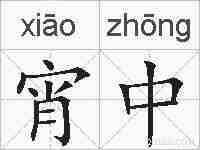 宵中的拼音