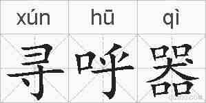 寻呼器的拼音