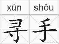 寻手的拼音