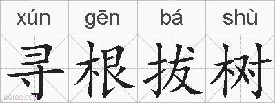 寻根拔树的拼音