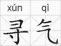 寻气的拼音