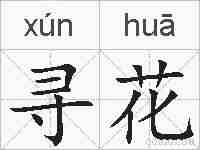 寻花的拼音