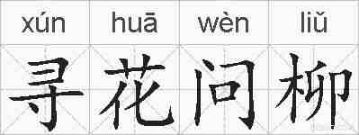 寻花问柳的拼音