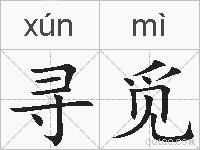 寻觅的拼音
