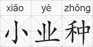 小业种的拼音