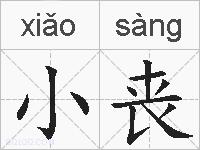小丧的拼音