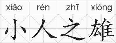 小人之雄的拼音