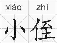 小侄的拼音