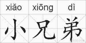 小兄弟的拼音