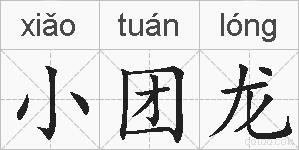 小团龙的拼音