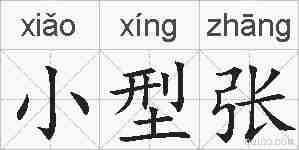 小型张的拼音