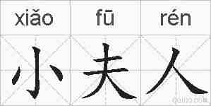 小夫人的拼音