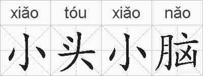小头小脑的拼音