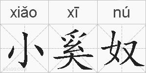 小奚奴的拼音