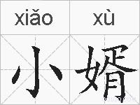 小婿的拼音