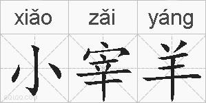 小宰羊的拼音
