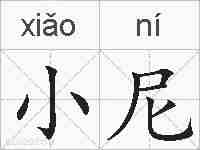 小尼的拼音