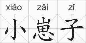 小崽子的拼音