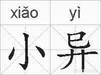 小异的拼音