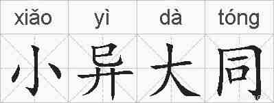 小异大同的拼音