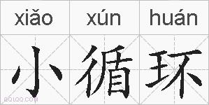小循环的拼音