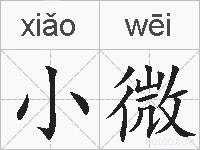小微的拼音