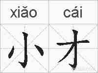 小才的拼音
