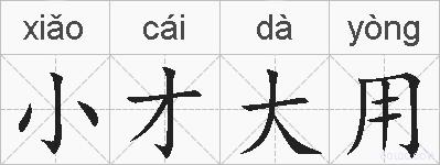小才大用的拼音