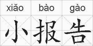 小报告的拼音