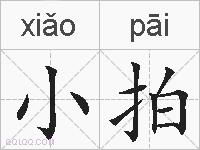 小拍的拼音