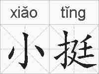小挺的拼音