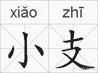 小支的拼音