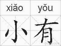 小有的拼音