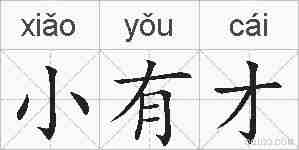小有才的拼音