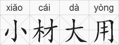 小材大用的拼音